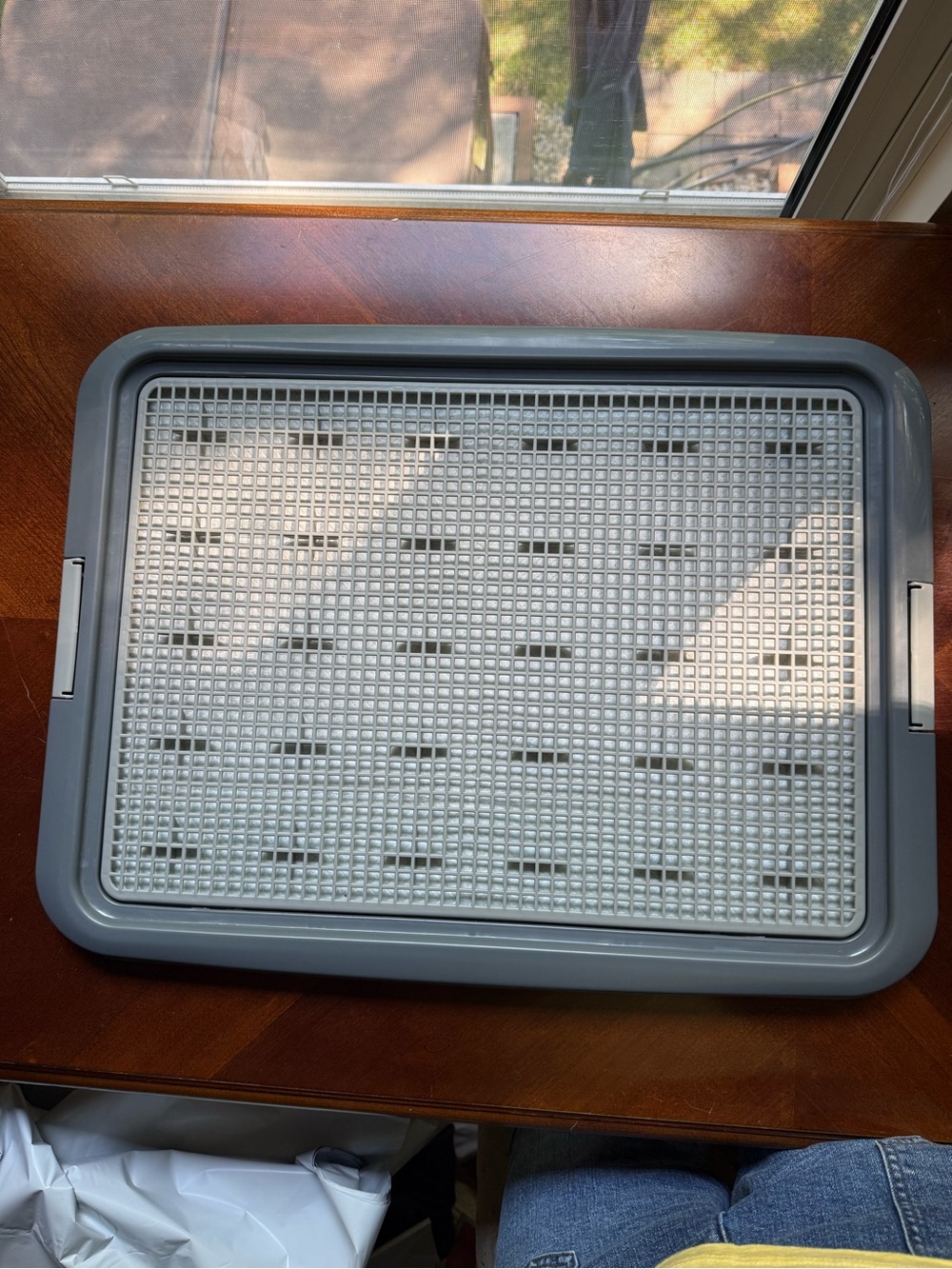 Gray Dog Housebreaking Tray with Removable Grid - by PetSmart